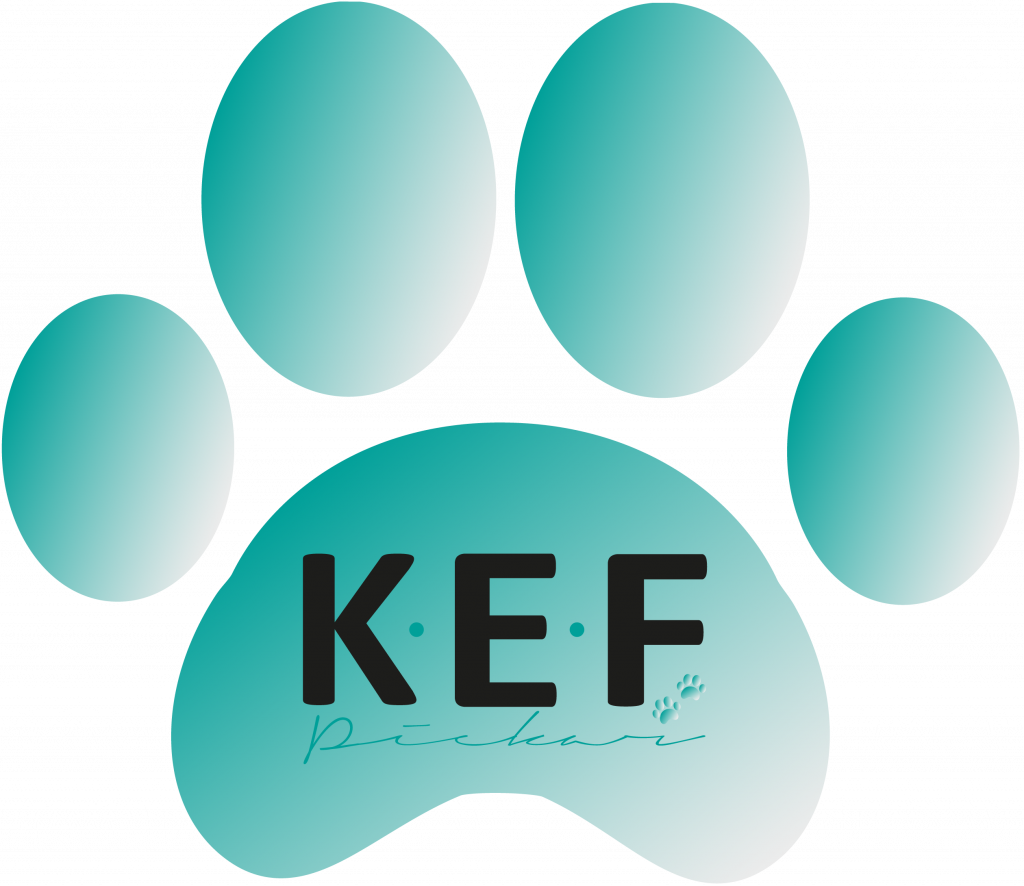 logo K.E.F Piekar