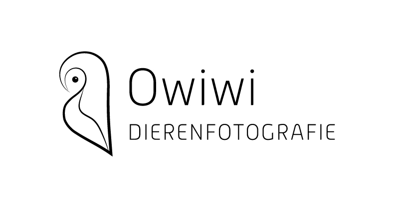 logo Owiwi